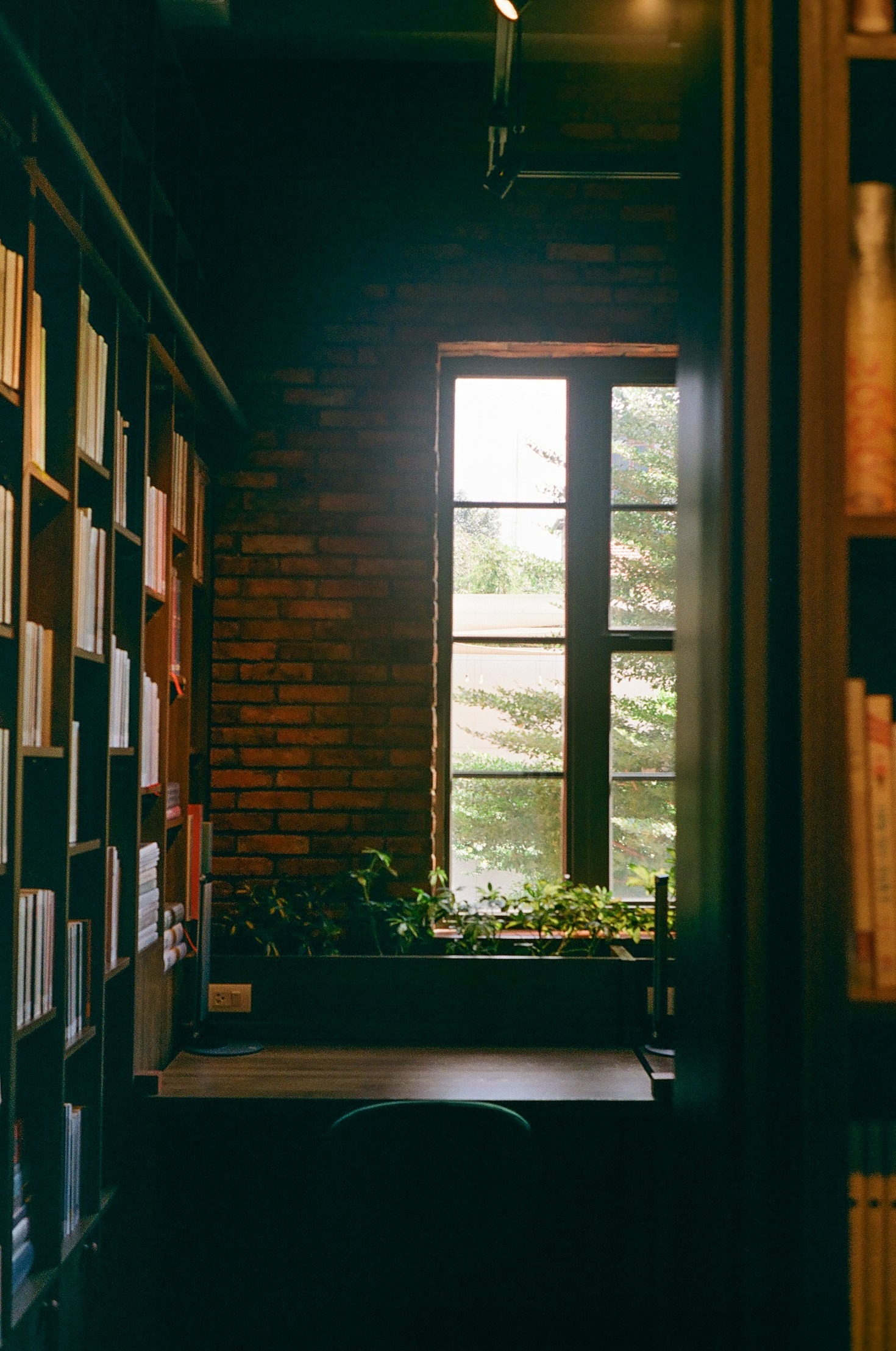 Lessons in Hope Gathered Along the Way